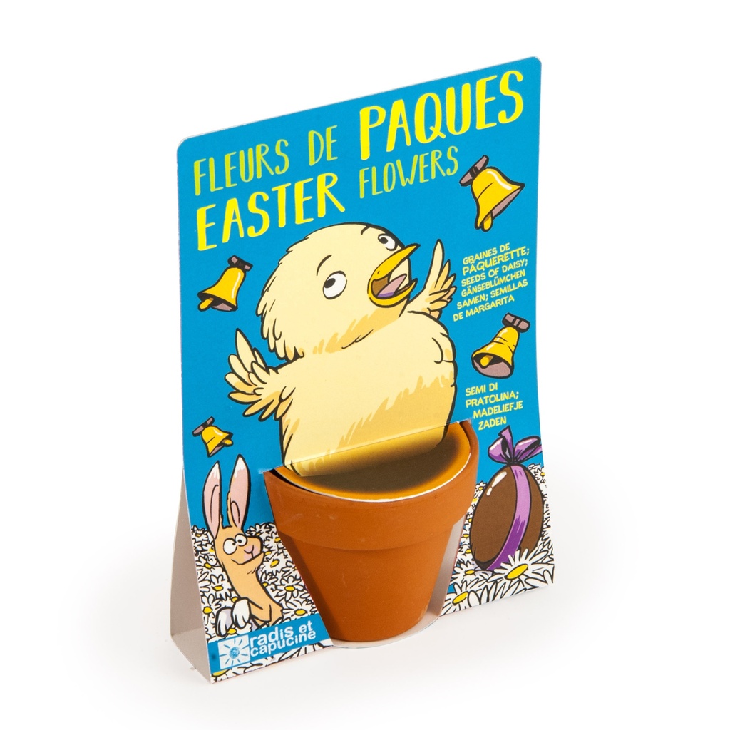 Carte nature Œufs de Pâques - Pâquerettte