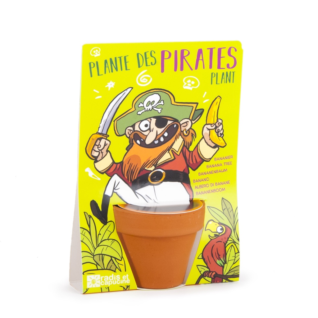 Carte nature Pirate - bananier