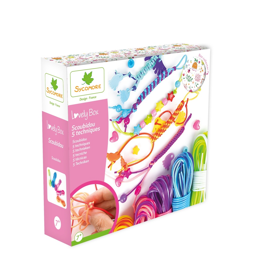 Lovely Box Pm 5 Techniques Scoubidou 