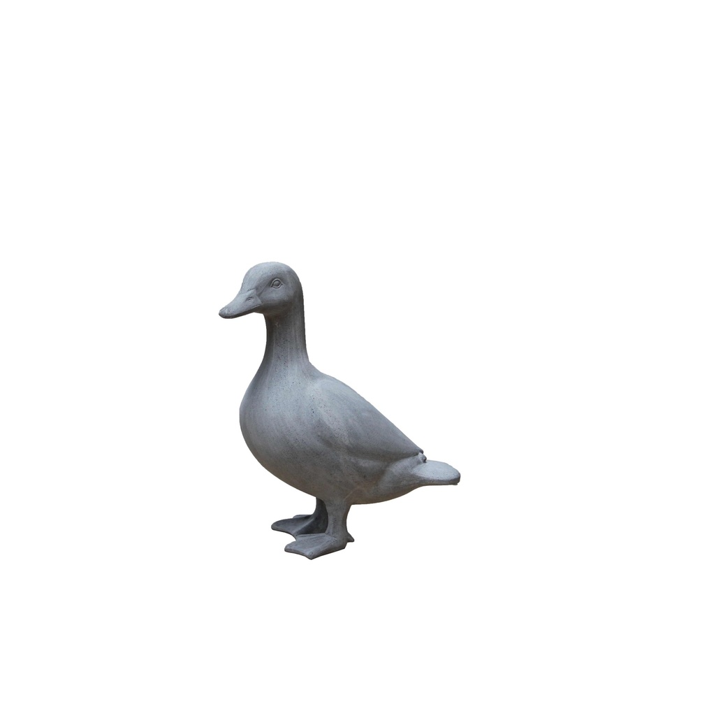 Canard Sandstone