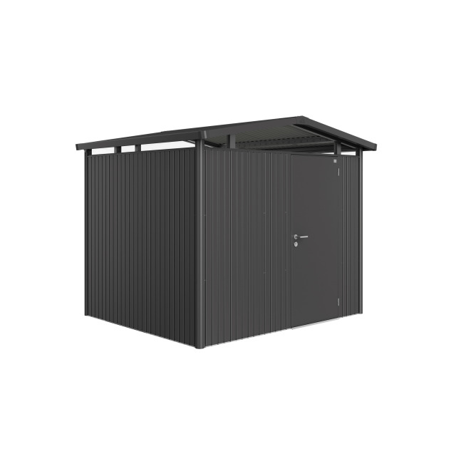 Abri de jardin Panorma T. P3 avec porte standard