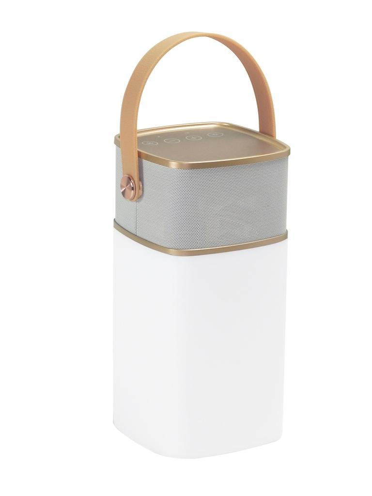 Enceinte Bluetooth + Light