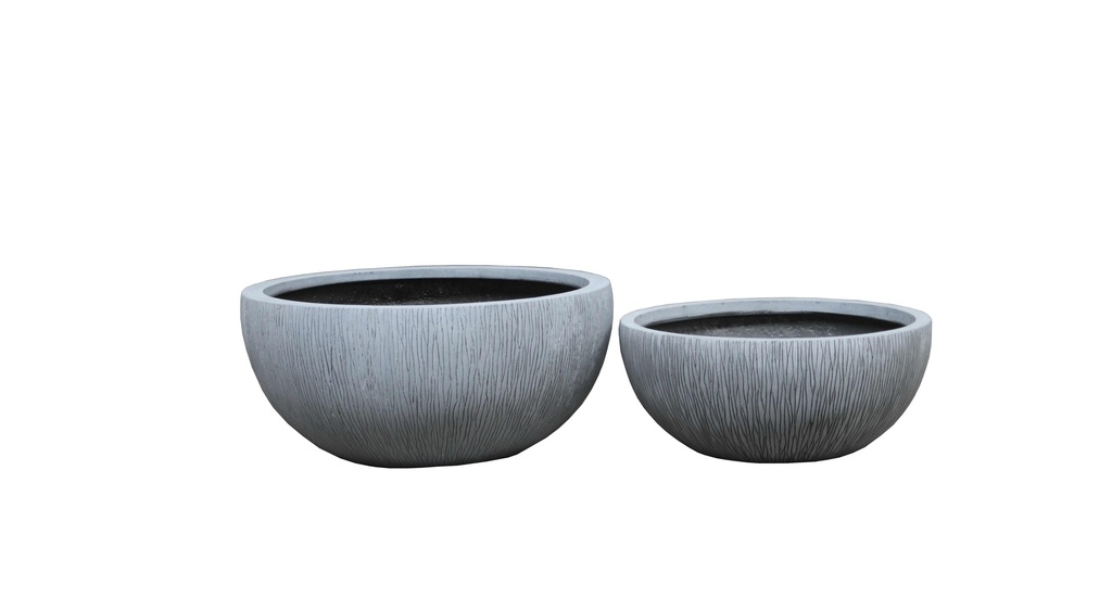 Coupe d'Argentière M