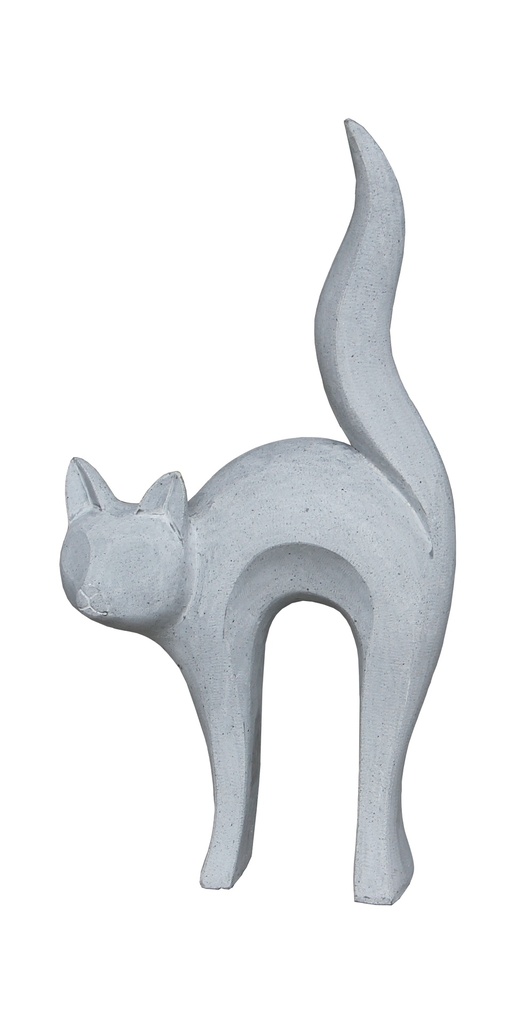 Chat Peur 