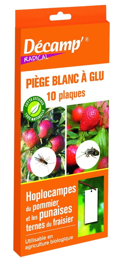 Piege Plaque Glu Blanc  Contre Les Hoplocampes Du Pommier et Les Punaises Ternes Du Fraisier
