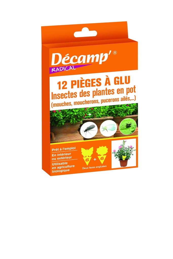 Piege Glu Insectes Plantes Pot