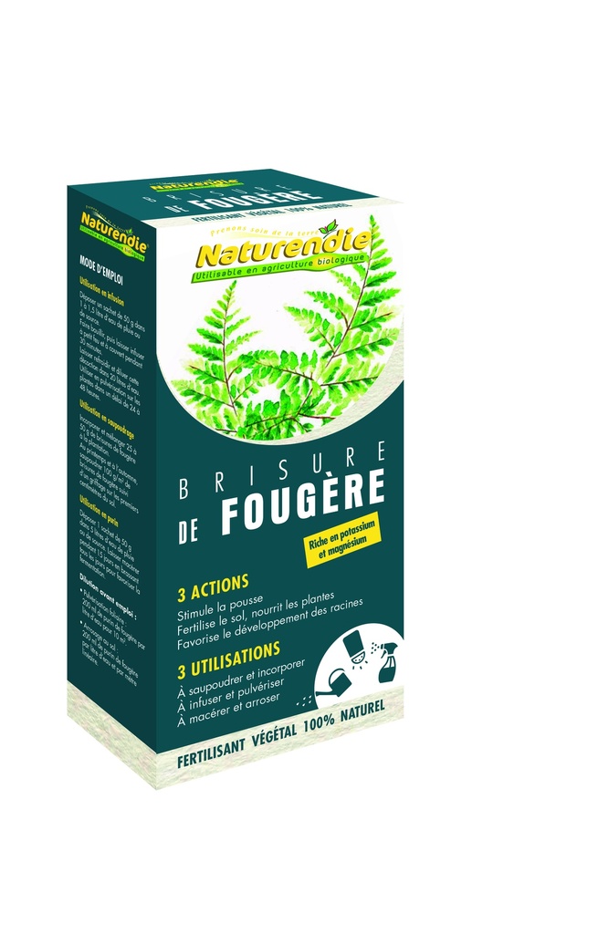 Brisure De Fougère Naturendie