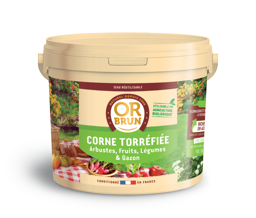 Corne Torrefiée 4 Kg