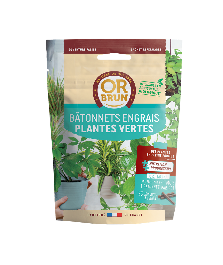 Plantes Vertes 25 Bâtonnets