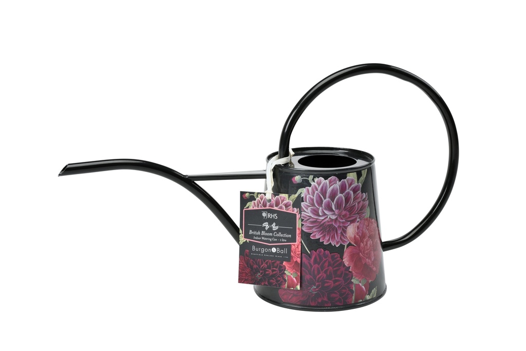 Arrosoir British bloom