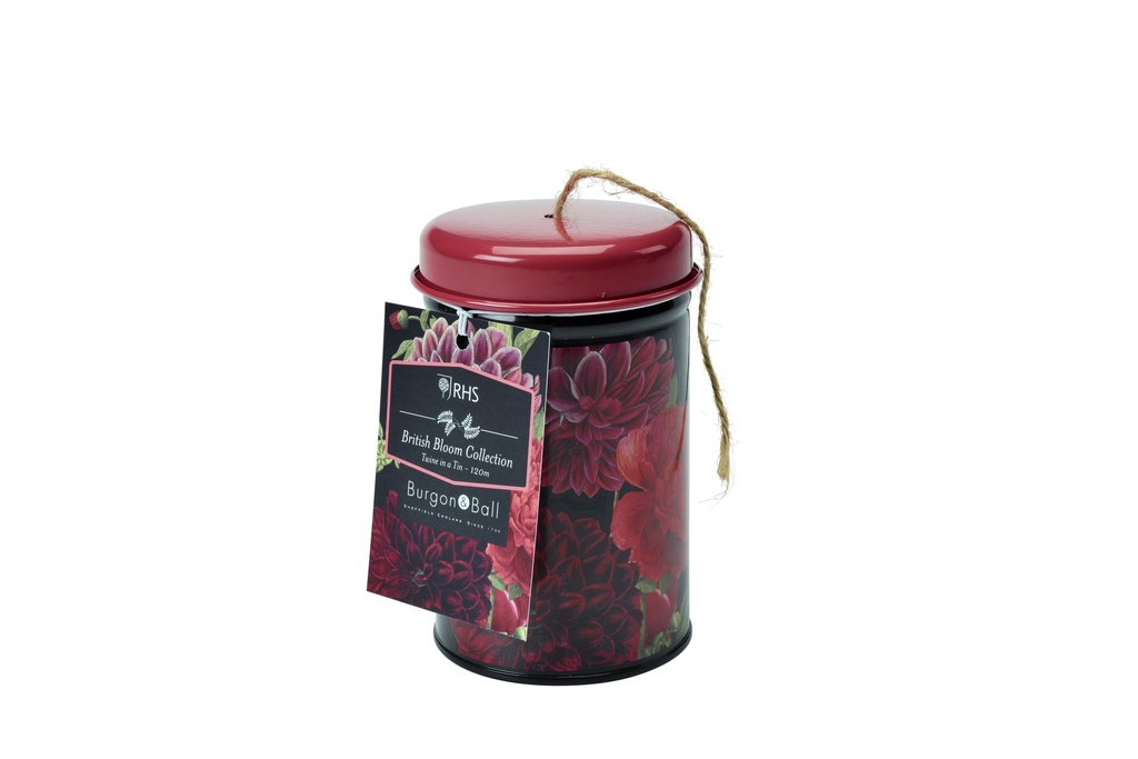 Boite à ficelle British bloom