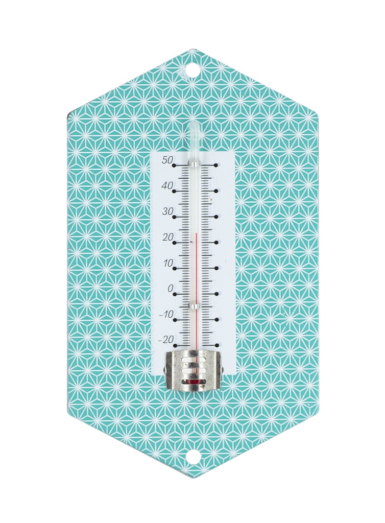 Thermo 80029 Metal par 5