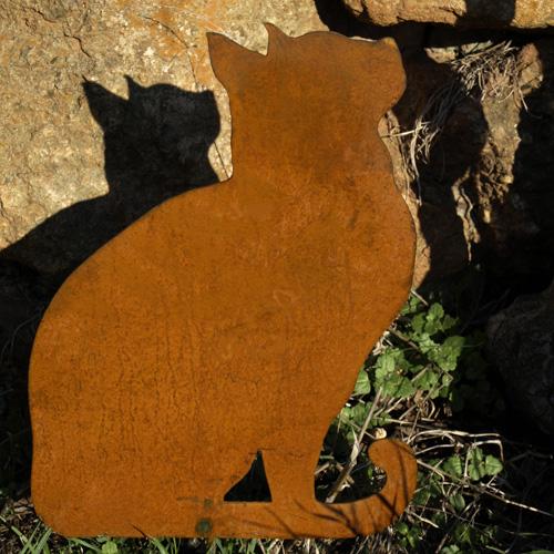Chat Assis 1