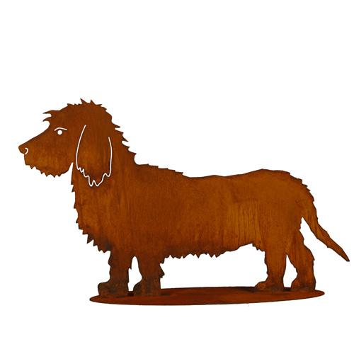 Teckel Shaggy ´Bastian´