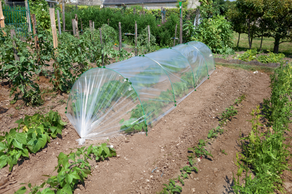 ARC FG Arceaux fibre de verre multi-usages