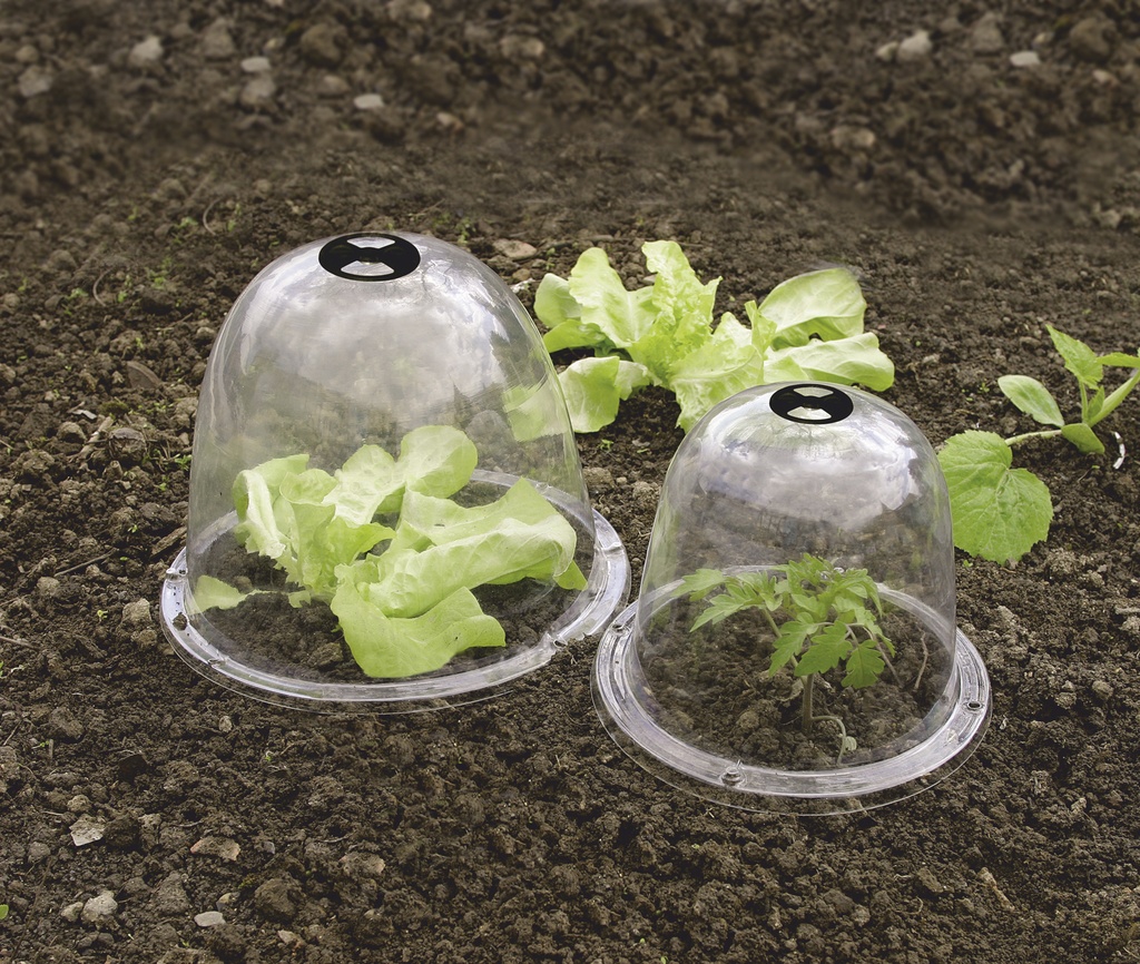 BELL Lot 3 cloches transparentes PVC