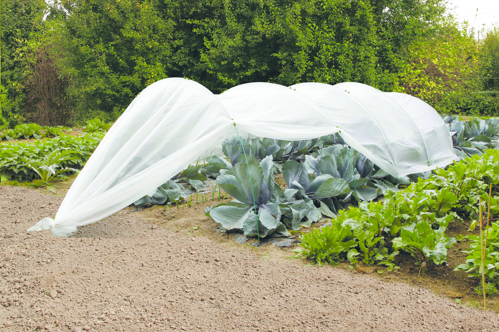 PROTEC Filet thermique anti-insecte