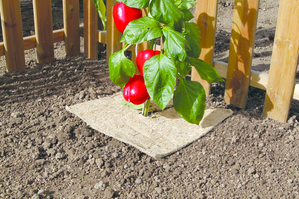 CHANVRELIN 500 0.5X3m Paillage naturel