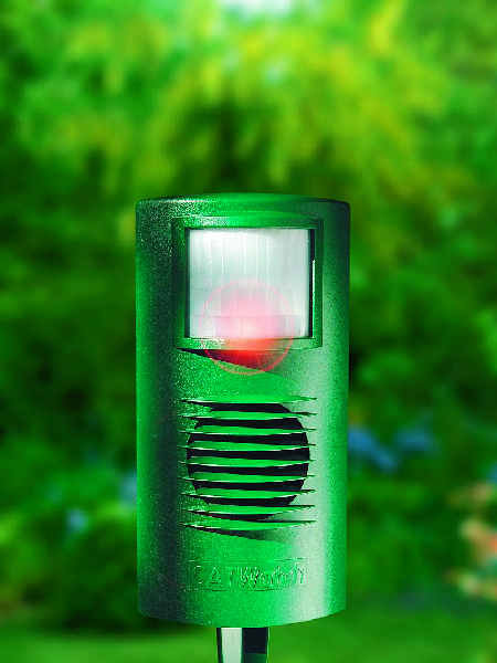 Catwatch. protection anti chat