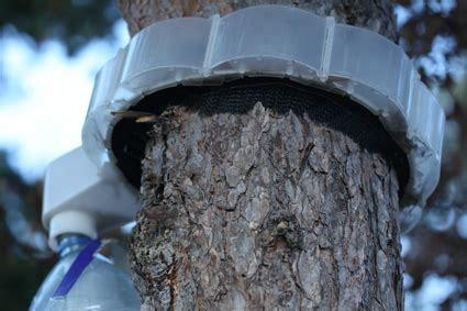 Module d'assemblage par 4 (piège processionnaire)