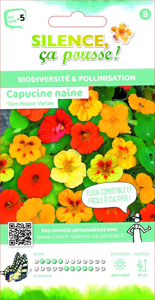 Capucine Naine Tom Pouce Variee