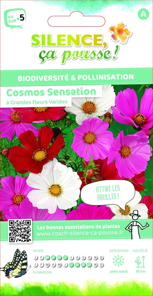 Cosmos Sensation Varie A Grandes Fleurs