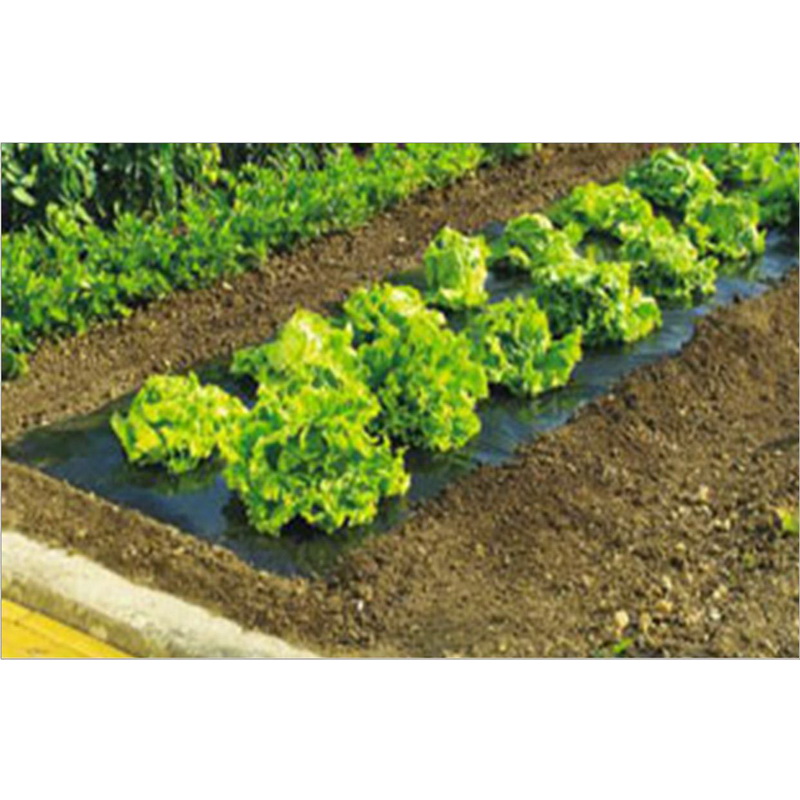 TERRAFILM Film de paillage toutes cultures 35 microns