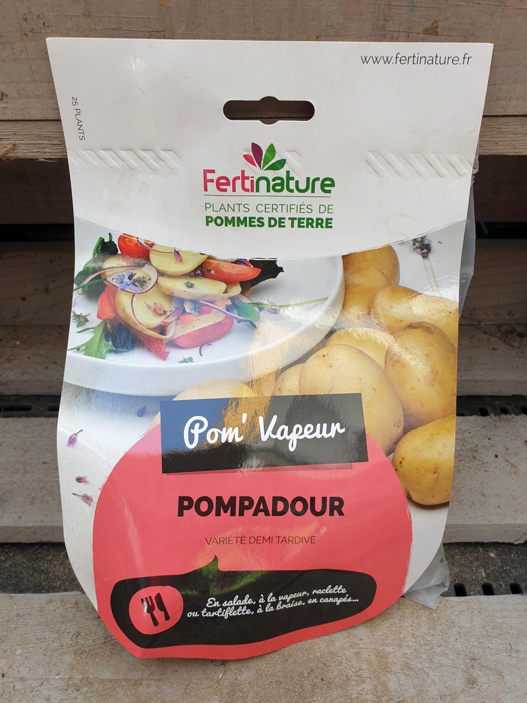 POMPADOUR F 25/32 25PL