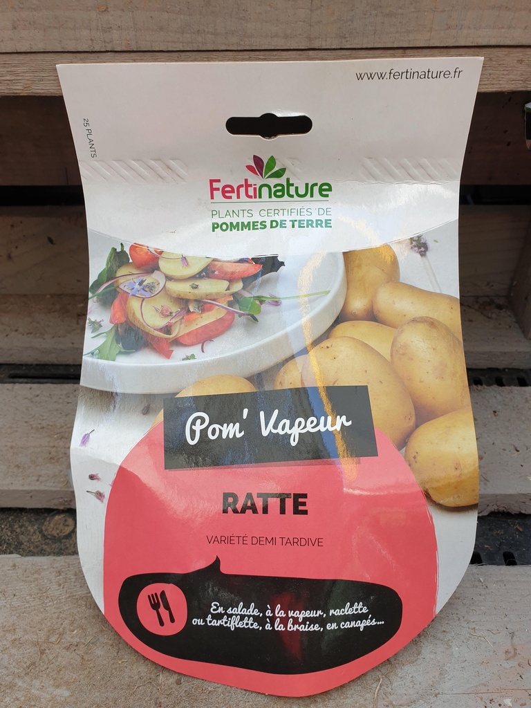 RATTE F 25/32 25PL