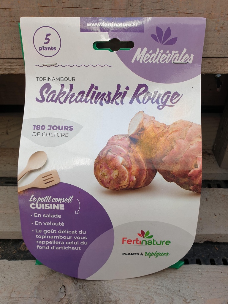 TOPINAMBOUR ROUGE 5PL