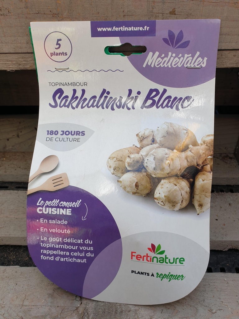 TOPINAMBOUR BLANC 5PL