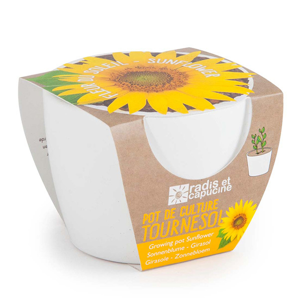 Pot blanc 8 cm Soleil bio