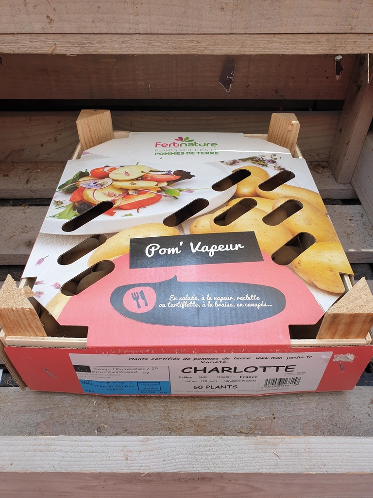 CHARLOTTE F 25/32 60PL