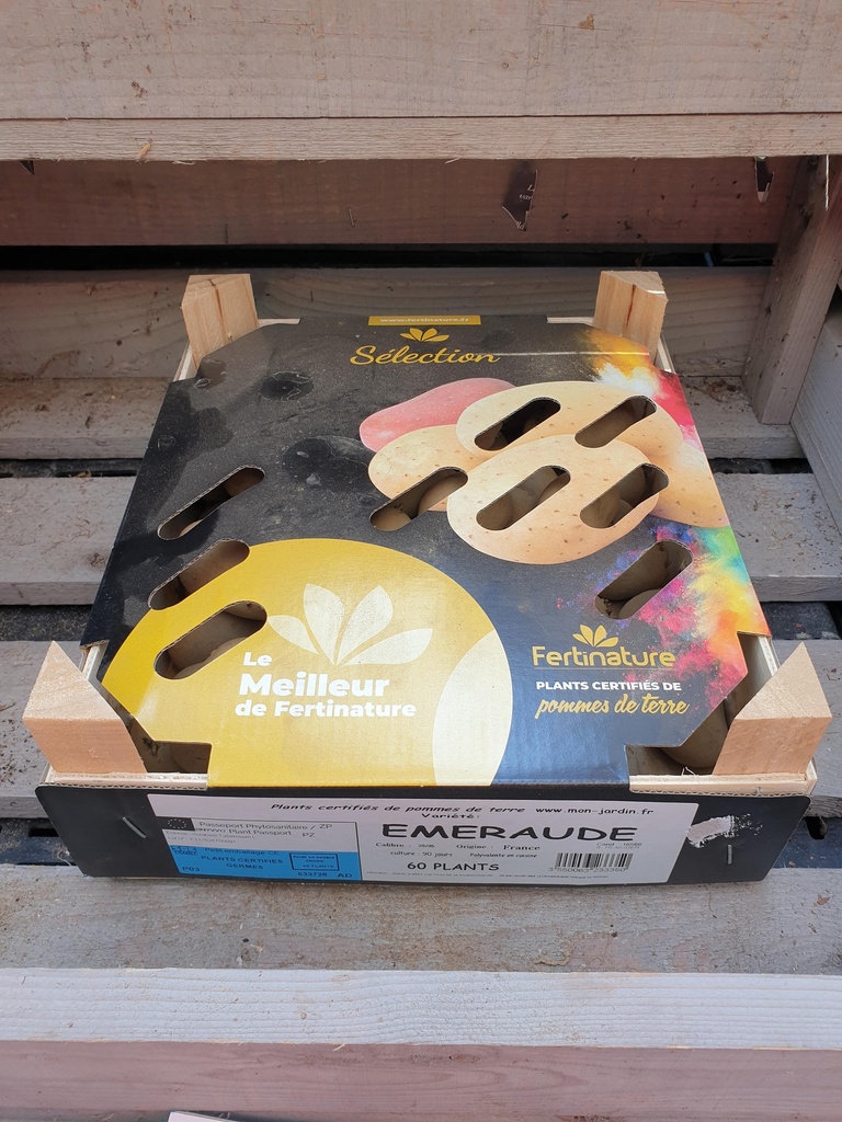 EMERAUDE F 25/35 60PL