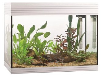 Aquarium Askoll Pure L Blanc