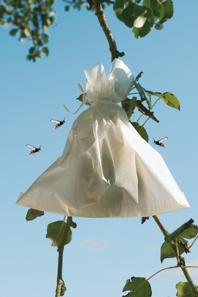 FRUITSAC Housse à fruit en papier microperforé