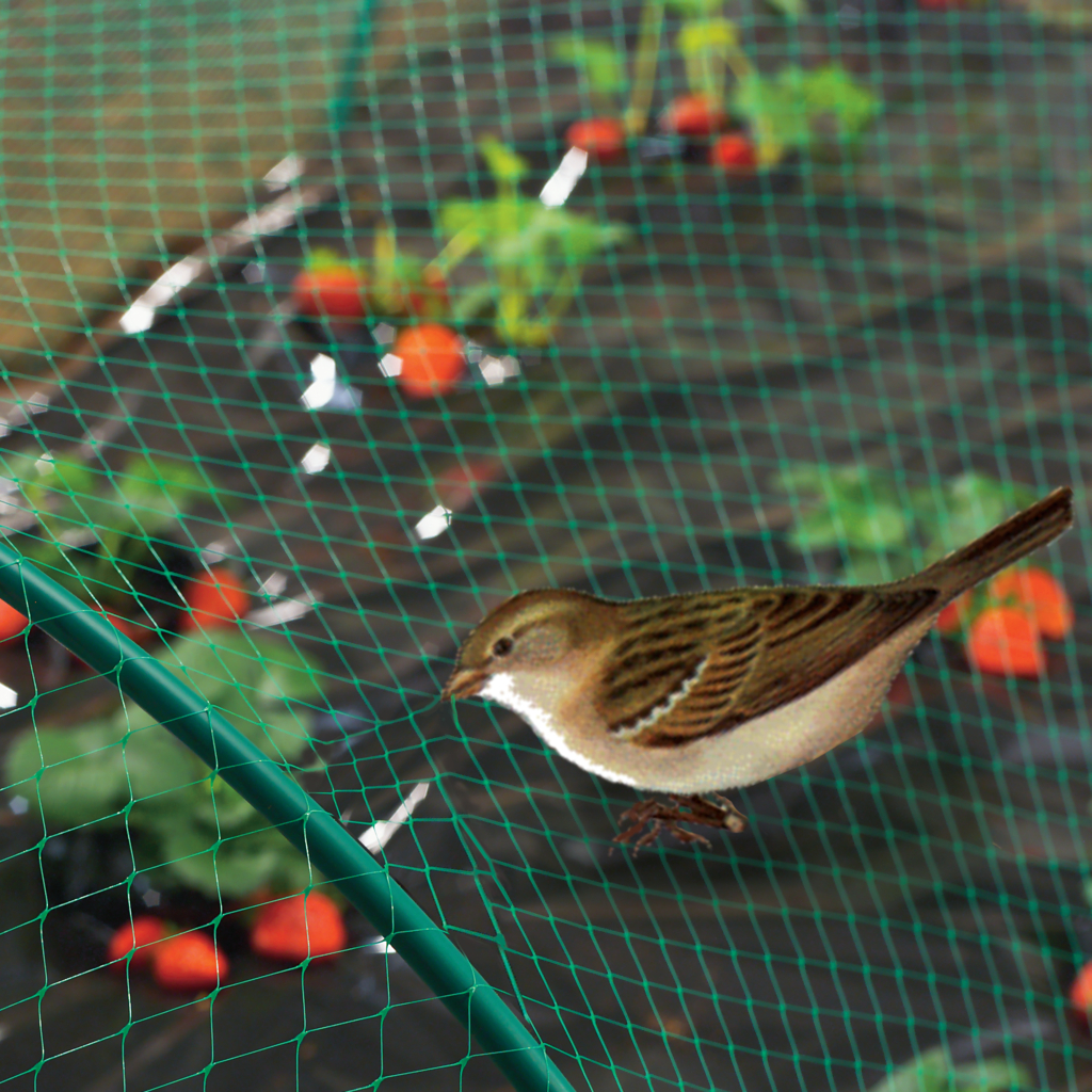 BIRDNET Filet de protection oiseaux PE