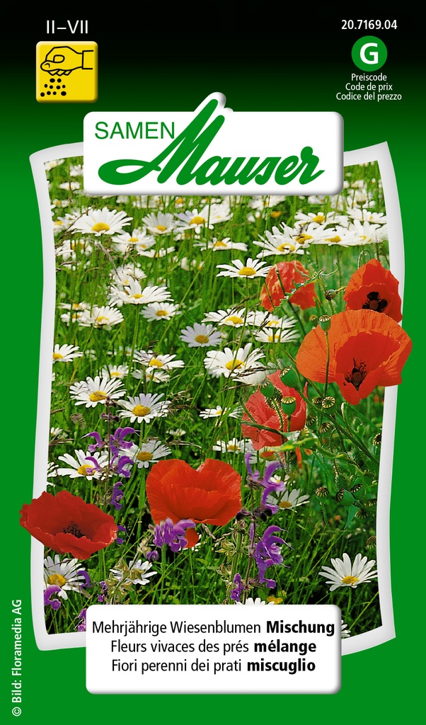 Mélange de fleurs de prairie