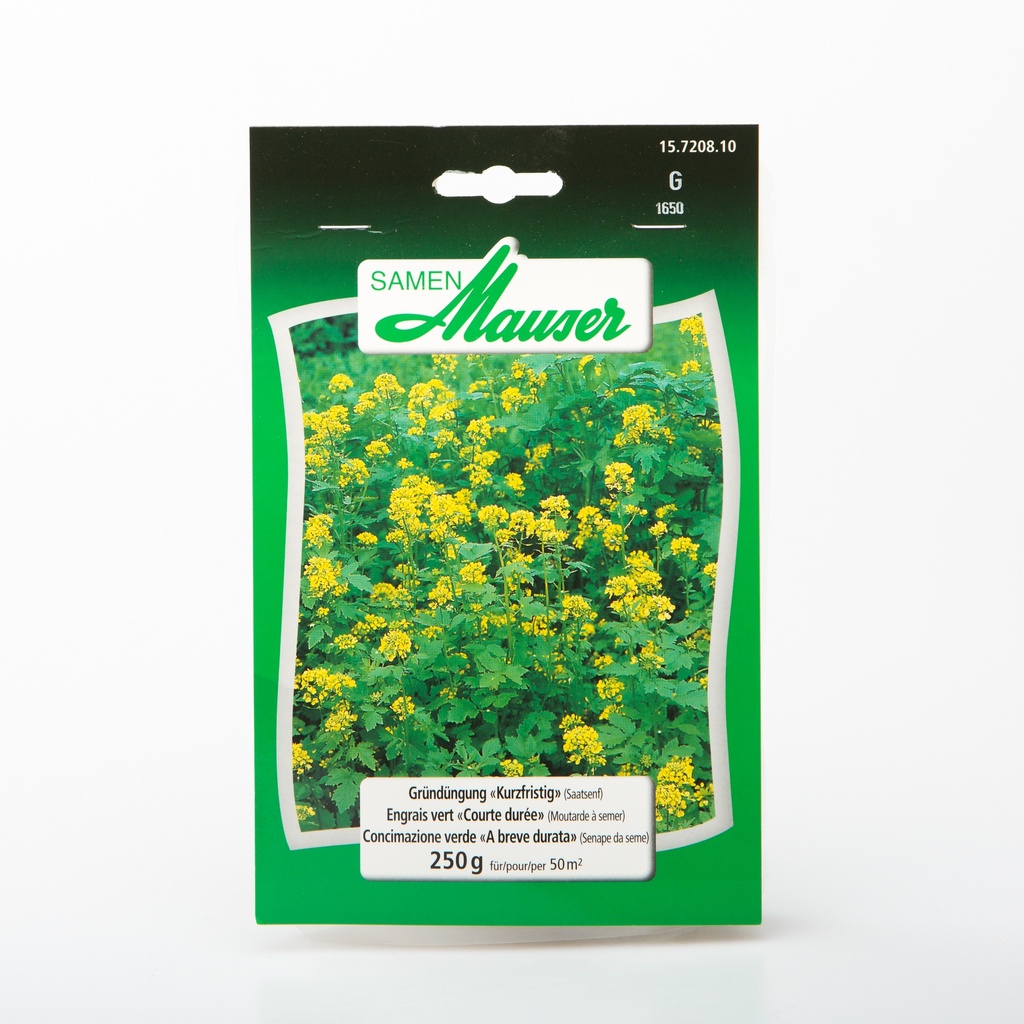 Engrais vert courte durée )Moutarde à semer) trefle blanc