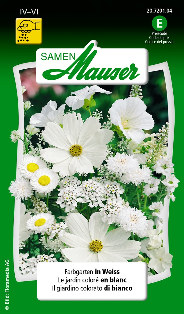 Jardin de couleur blanc