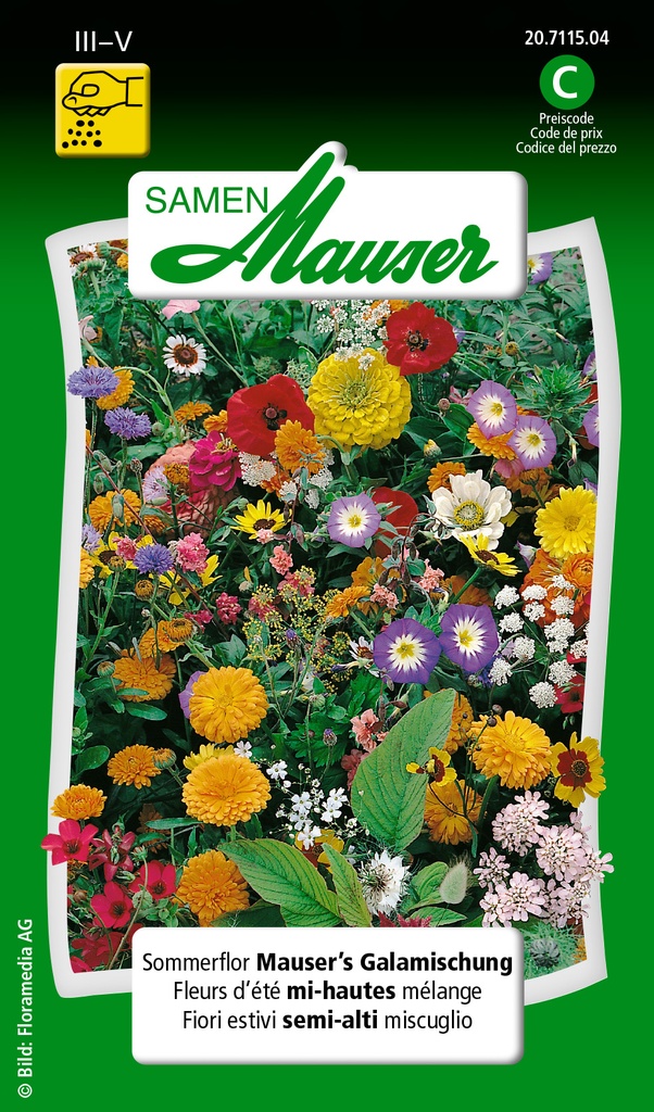 Fleurs d'été mélange Gala