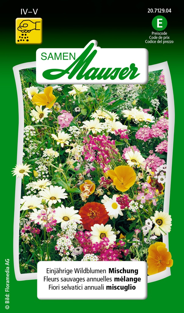 Fleurs sauvage mélange