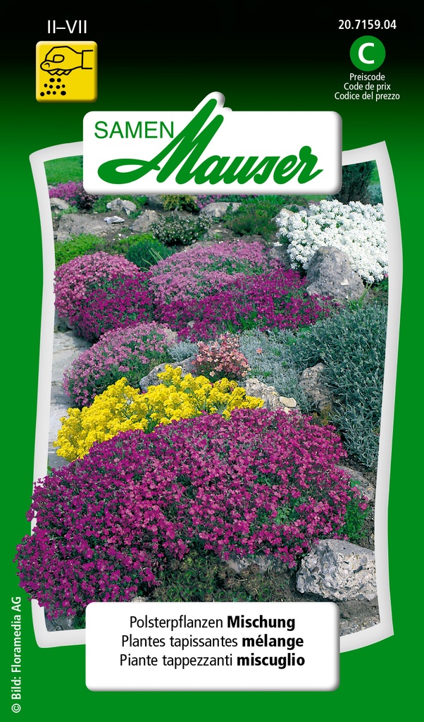 Plantes tapissantes mélange