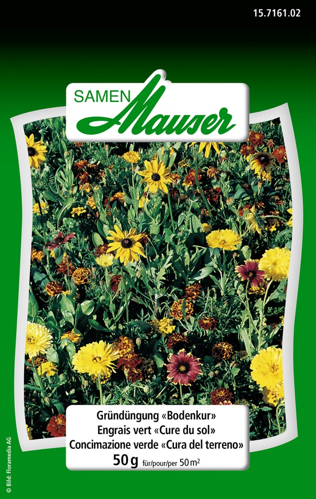 Engrais vert cure du sol