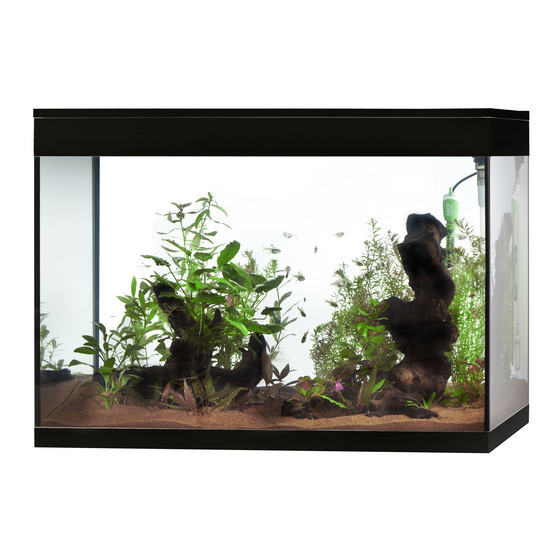 Aquarium Askoll Pure L noir