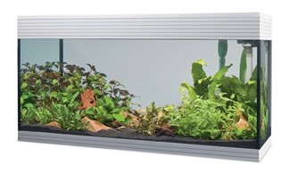 Aquarium Askoll Pure XL Blanc