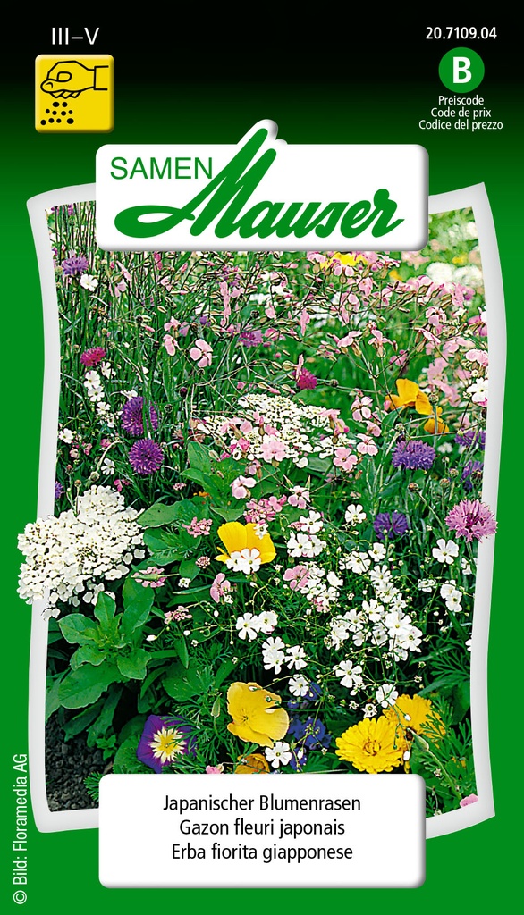 Fleurs d'été en mélange Gaz.Jap.