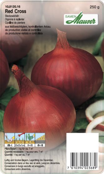 Oignon à Replanter Red Cross F1 - 2