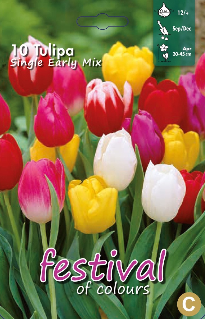 Tulipes simples hâtive en mélange