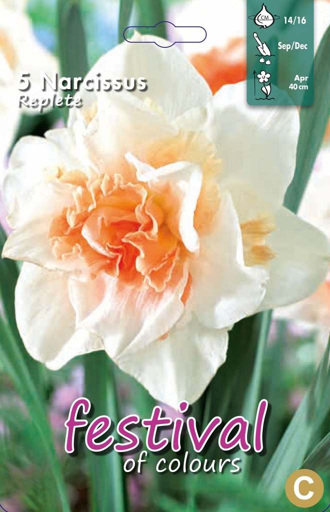 Narcissus 'Replete'